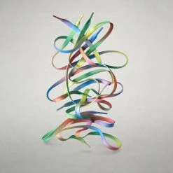 Wildling Shoes Regenbogensenkel