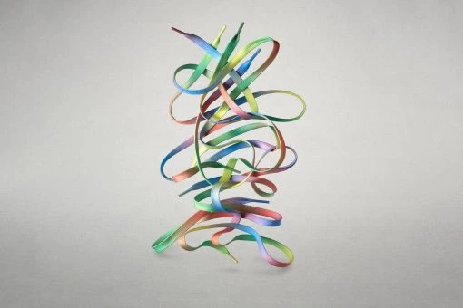 Wildling Shoes Regenbogensenkel